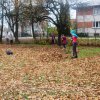 Aplinkos tvarkymo akcija „Švarus mūsų kiemas – graži Lietuva“
